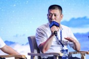 天天吉历蜂巢汽车武红超预测：未来五年中国新能源车渗透率将突破70%