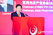 天天吉历SNEC大会开幕 朱共山：这一年大家都过得不容易 困难是暂时的